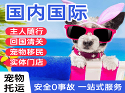 呼和浩特白塔机场快运国际宠物托运 【国